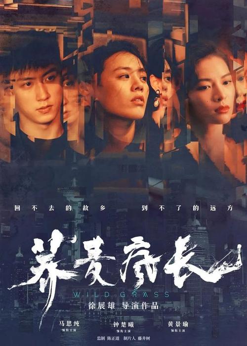 坦帕定制证件